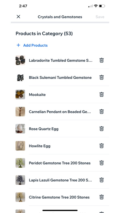 The Willow Goddess screenshot-4