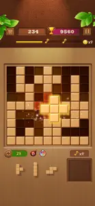 Block Puzzle - Wood Sudoku screenshot #1 for iPhone