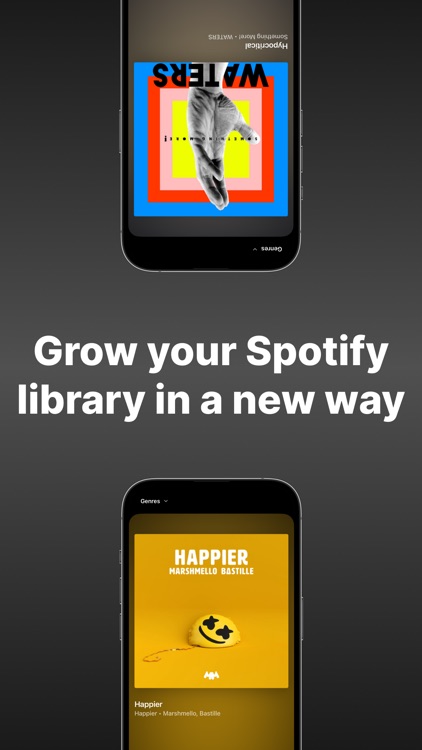 Musiclips for Spotify