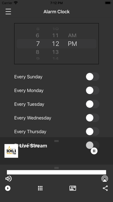 WASG FM 106.1 Radio Screenshot