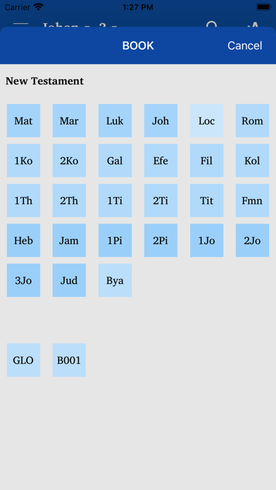 Zotung Chin New Testament Screenshot