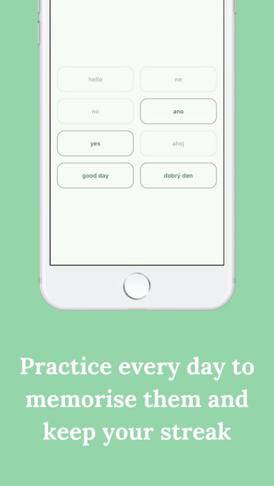 LinguaMatch Screenshot