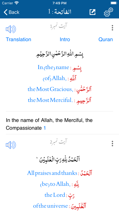Tafheem ul Quran - in English Screenshot