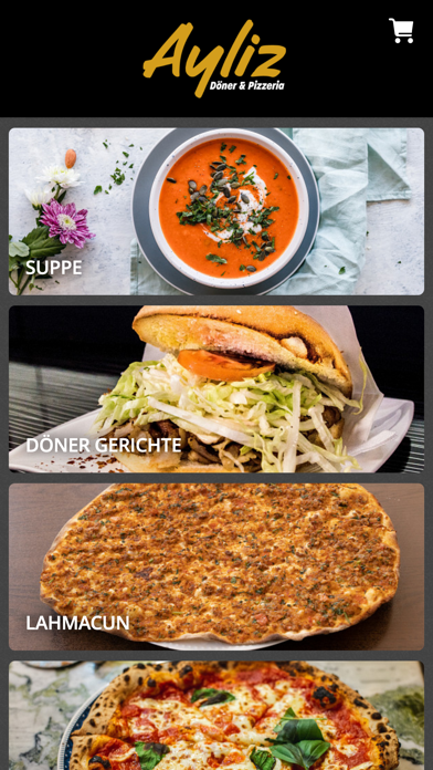 Ayliz Döner & Pizzeria Mainz Screenshot