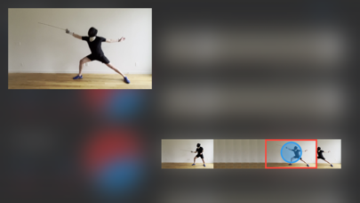 Fencing+ Screenshot