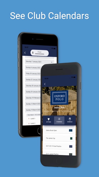 PlayPolo Screenshot