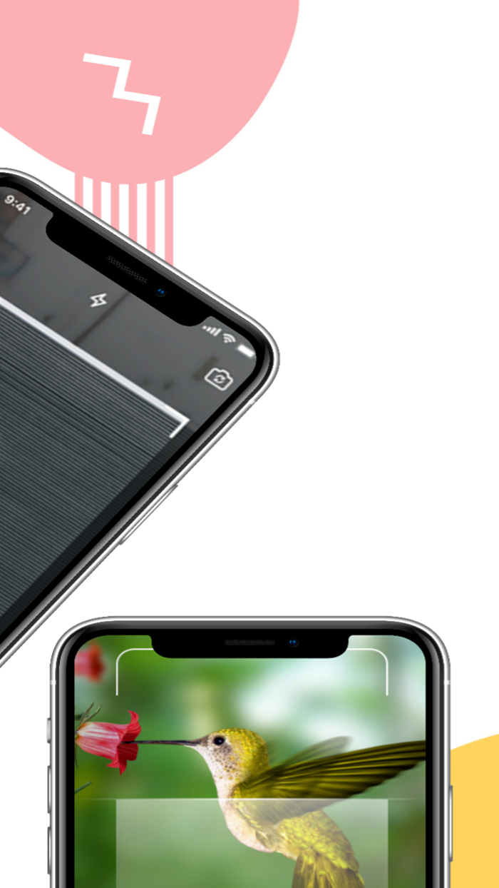 AI VISION Identify Anything