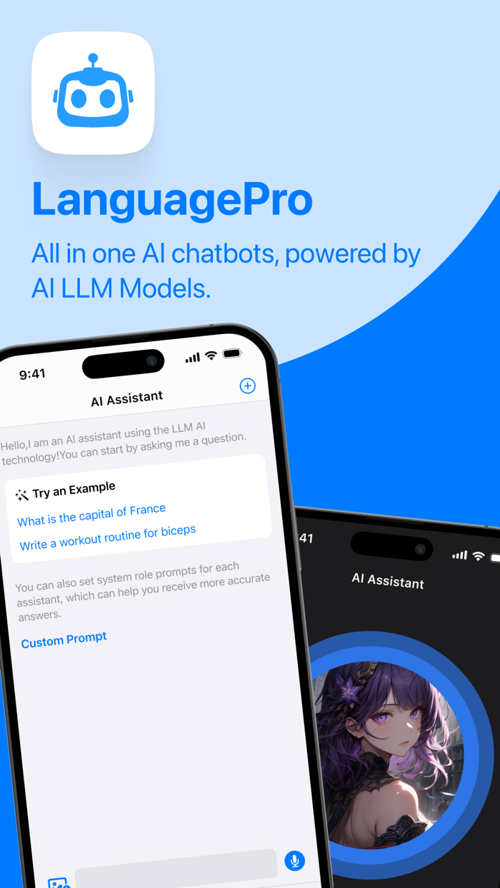 LanguagePro AI Assistant