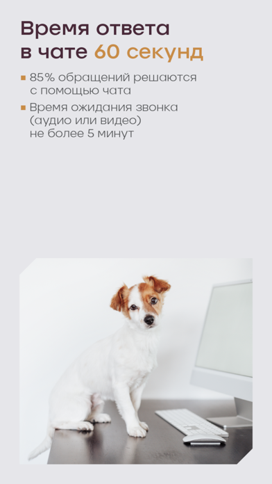 Мои Питомцы Screenshot