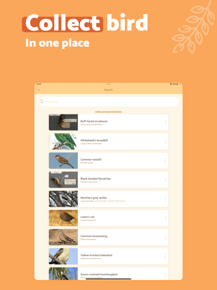 BirdScan - Identify Bird