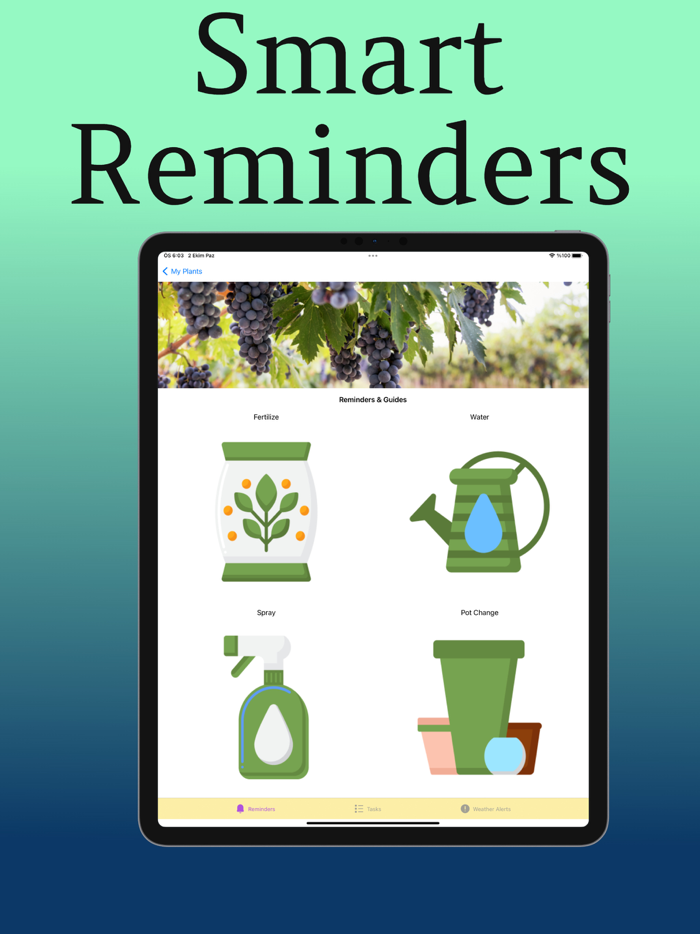 Plant Care Guide and Tips