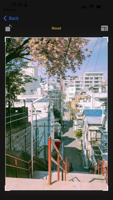 POLA - 35mm Film Camera Screenshot