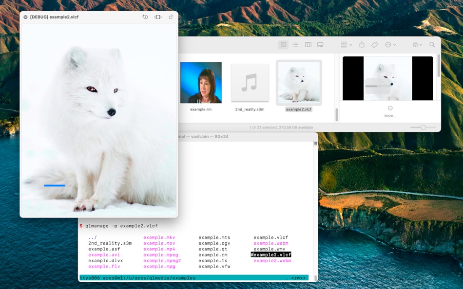 QLMedia (macOS) 由: Sergey Dikov