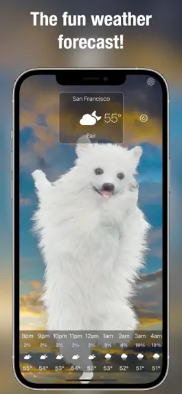 Game screenshot Dog Days Weather Live mod apk