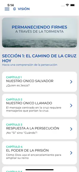 Game screenshot Firmes en la Tormenta mod apk