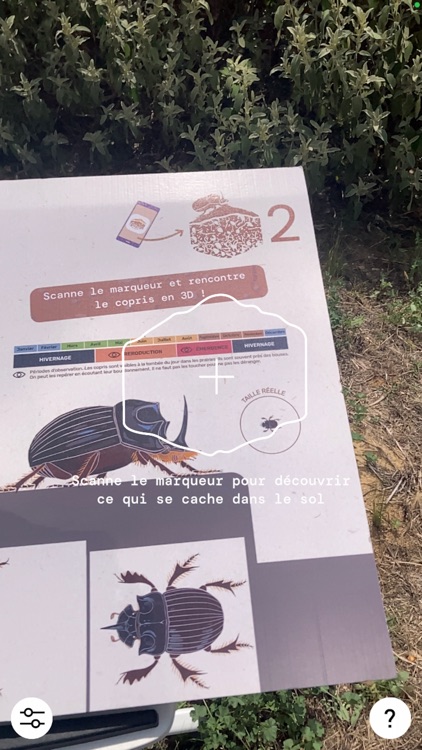 Les vies cachées du sol