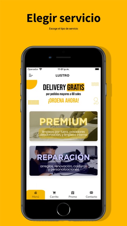 Lustro: Limpieza de Calzado