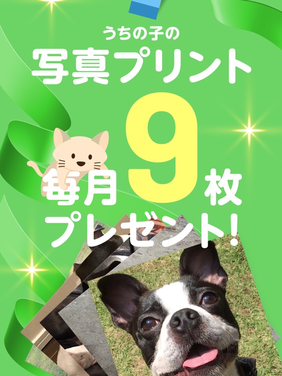 うちっ子ログ:犬や猫のペットお世話日記＆健康管理アプリのおすすめ画像2