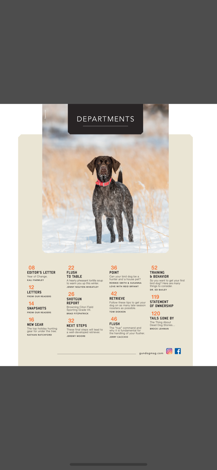 Gun Dog Magazine