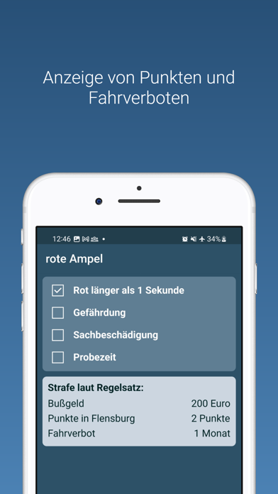 Bußgeldrechner Deutschland Screenshot