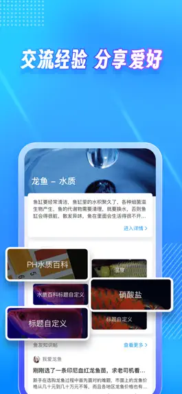 Game screenshot 龙巅 - 为兴趣而生 hack