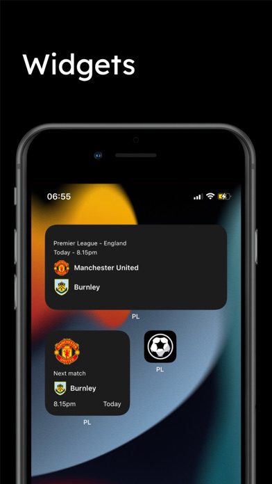 Scores for Premier League Screenshot