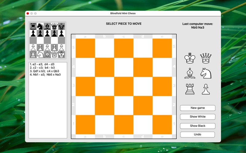 blindfold mini chess iphone screenshot 2