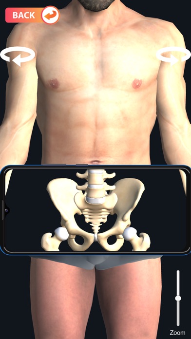 X-ray Body Scanner Game Screenshot