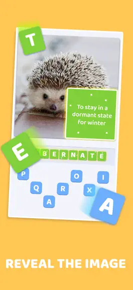 Game screenshot Word Pics - Trivia Puzzles apk