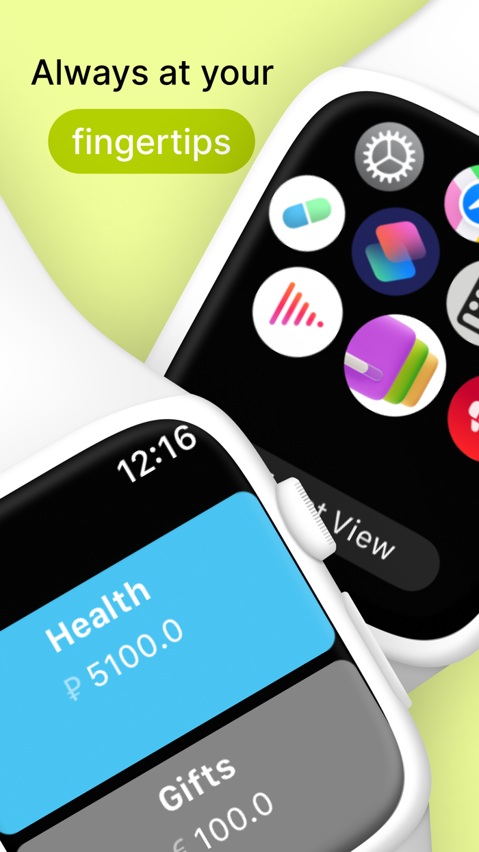 Plan-finance budget expenses