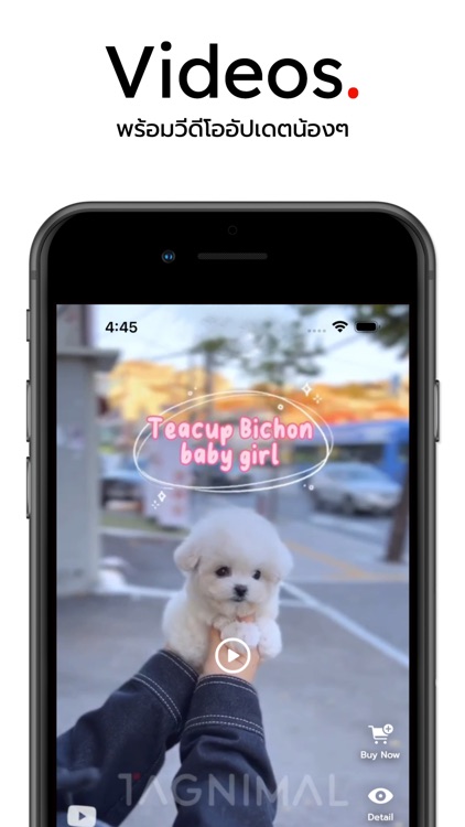 Tagnimal screenshot-4