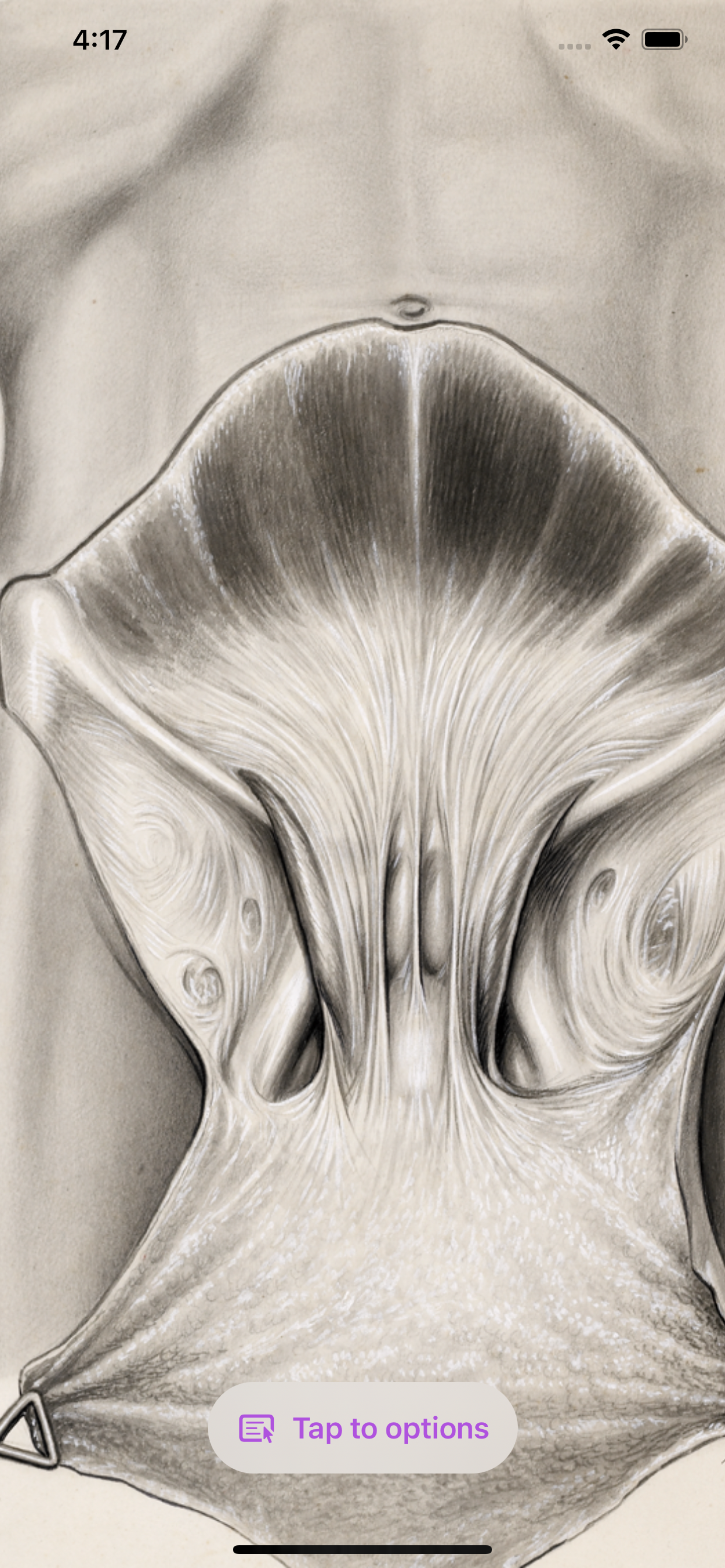 Gil Vernet’s Urology Drawings