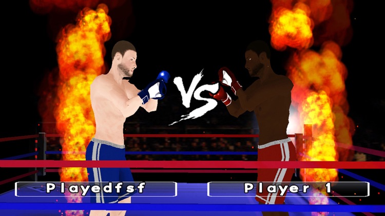 Dual Boxing screenshot-3