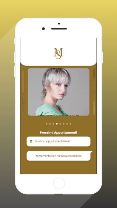 MS Beauty Studio Screenshot