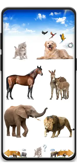 Game screenshot Amazing Animal Sounds mod apk