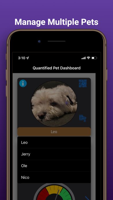 SensePet Screenshot