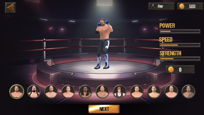 Real Punch Wrestling Fight 3D Screenshot