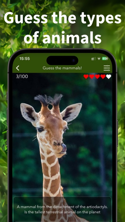 Animals Kingdom: Zoo Wild Quiz