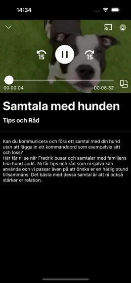 Game screenshot Fredrik Steen PLAY apk