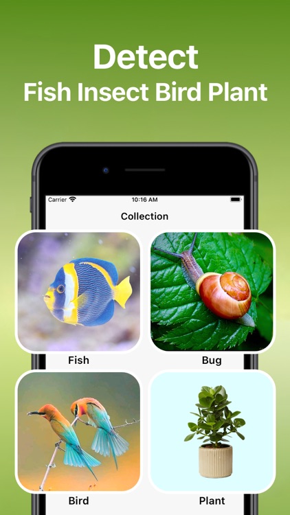 Bird Song Identifier Sounds ID screenshot-3