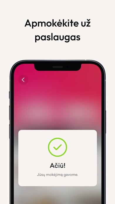 Buhalterės.lt Screenshot