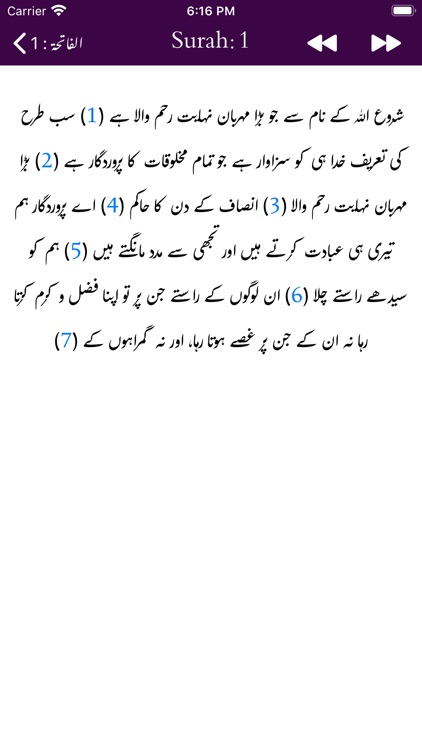 Mufradat ul Quran | Tafseer screenshot-8