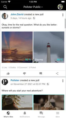 Game screenshot Pollster Social mod apk