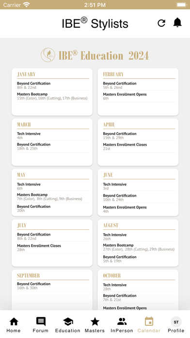 IBE Stylists Screenshot