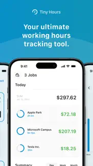 tiny hours tracker, time clock iphone resimleri 2