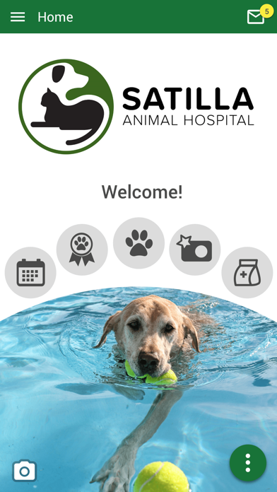 Satilla Animal Hospital Screenshot