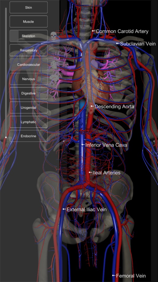 #7. 3D Human Anatomy Introduction (iOS) 由: biosphera.org