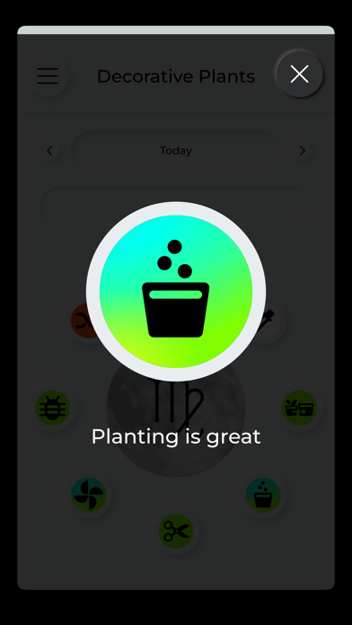 Moonbox Decorative Plants Screenshot