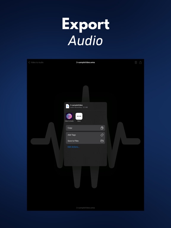 Video to Audio: MP3 Converter+ iPad screenshot 4 - Music app
