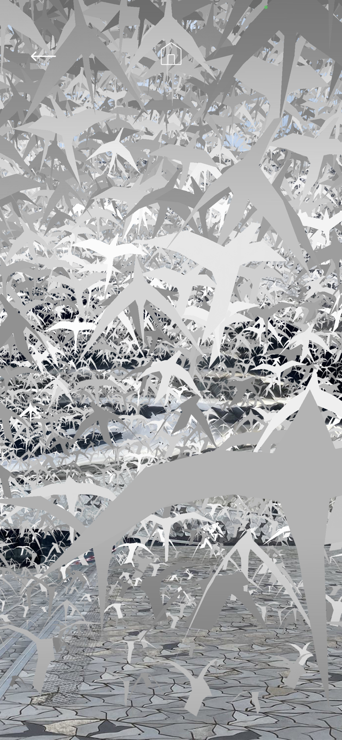 Les oiseaux de la Philharmonie